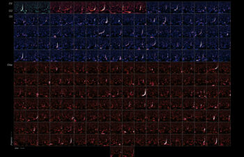 The Gravitational-Wave Transient Catalog 4.0, pictured, is a record of cosmic mergers detected between 2015 and 2024 by the LIGO, Virgo, and KAGRA gravitational wave observatories. Each panel is a time and frequency signature of an individual event — the merger of two black holes, two neutron stars, or one of each, somewhere out in the cosmos.