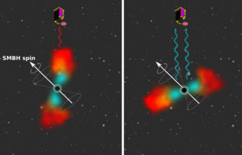 This schematic figure depicts the precession of an accretion disk formed from the debris of a disrupted star around a supermassive black hole (SMBH). The left panel shows the precession phase when the accretion disk is close to an edge-on configuration, which results in the smaller disk area being observed and thus lower luminosity. The observer can see mostly the colder, outer parts of the precessing disk. The right panel depicts a nearly face-on precession phase, when the visible disk area is larger and hence the luminosity also increases. The inner, warmer parts of the disk are then fully exposed.