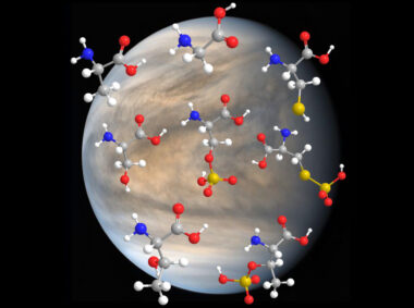 MIT researchers have found that amino acids — major building blocks for life on Earth — are stable in highly concentrated sulfuric acid. Their results support the idea that these same molecules may be stable in Venus’ highly sulfuric clouds.