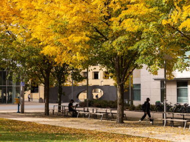 Infinite Expansion Award recipients are not only exceptional scientists, but they also show deep commitment to junior colleagues, participating in educational programs, working with the MIT Postdoctoral Association, or contributing in some other way to the Institute.