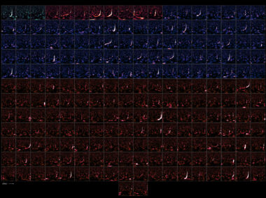 The Gravitational-Wave Transient Catalog 4.0, pictured, is a record of cosmic mergers detected between 2015 and 2024 by the LIGO, Virgo, and KAGRA gravitational wave observatories. Each panel is a time and frequency signature of an individual event — the merger of two black holes, two neutron stars, or one of each, somewhere out in the cosmos.